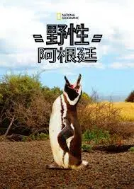 探索狂野之美：国家地理《野性阿根廷》震撼来袭，揭秘南美大陆的生命奇迹！