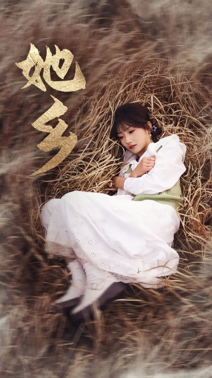 漂泊异乡，寻觅自我：《她乡》深刻剖析女性的身份认同与文化归属